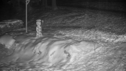 Běžecký lyžařský areál Nová Ves - horní část