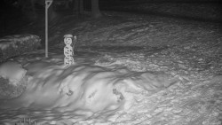 Běžecký lyžařský areál Nová Ves - horní část