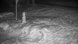 Běžecký lyžařský areál Nová Ves - horní část