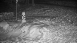 Běžecký lyžařský areál Nová Ves - horní část