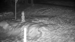 Běžecký lyžařský areál Nová Ves - horní část