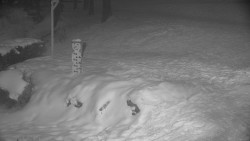 Běžecký lyžařský areál Nová Ves - horní část