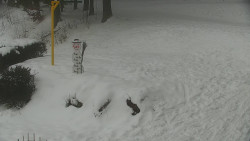 Běžecký lyžařský areál Nová Ves - horní část