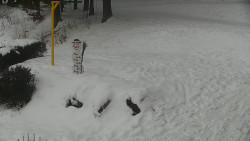 Běžecký lyžařský areál Nová Ves - horní část