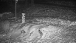 Běžecký lyžařský areál Nová Ves - horní část