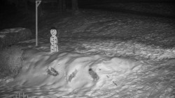 Běžecký lyžařský areál Nová Ves - horní část