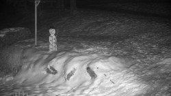 Běžecký lyžařský areál Nová Ves - horní část