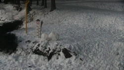 Běžecký lyžařský areál Nová Ves - horní část