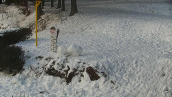 Běžecký lyžařský areál Nová Ves - horní část