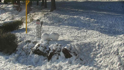 Běžecký lyžařský areál Nová Ves - horní část