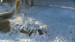 Běžecký lyžařský areál Nová Ves - horní část