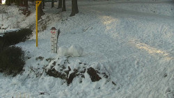 Běžecký lyžařský areál Nová Ves - horní část