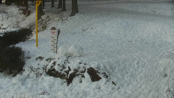 Běžecký lyžařský areál Nová Ves - horní část