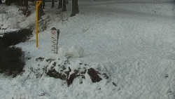 Běžecký lyžařský areál Nová Ves - horní část