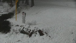 Běžecký lyžařský areál Nová Ves - horní část