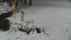 Běžecký lyžařský areál Nová Ves - horní část