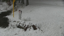 Běžecký lyžařský areál Nová Ves - horní část