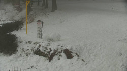 Běžecký lyžařský areál Nová Ves - horní část