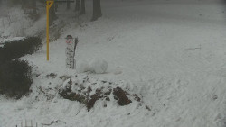 Běžecký lyžařský areál Nová Ves - horní část