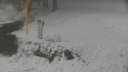 Běžecký lyžařský areál Nová Ves - horní část