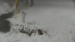 Běžecký lyžařský areál Nová Ves - horní část