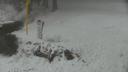 Běžecký lyžařský areál Nová Ves - horní část