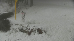 Běžecký lyžařský areál Nová Ves - horní část