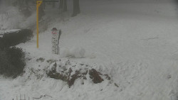 Běžecký lyžařský areál Nová Ves - horní část