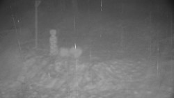 Běžecký lyžařský areál Nová Ves - horní část