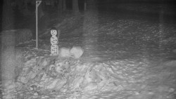 Běžecký lyžařský areál Nová Ves - horní část