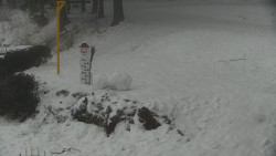 Běžecký lyžařský areál Nová Ves - horní část