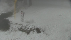 Běžecký lyžařský areál Nová Ves - horní část