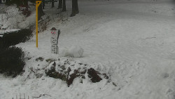 Běžecký lyžařský areál Nová Ves - horní část