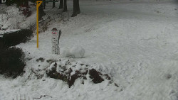 Běžecký lyžařský areál Nová Ves - horní část