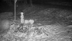 Běžecký lyžařský areál Nová Ves - horní část