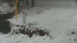 Běžecký lyžařský areál Nová Ves - horní část