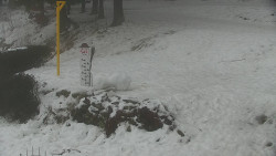 Běžecký lyžařský areál Nová Ves - horní část