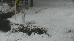 Běžecký lyžařský areál Nová Ves - horní část