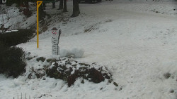 Běžecký lyžařský areál Nová Ves - horní část