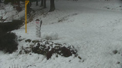 Běžecký lyžařský areál Nová Ves - horní část