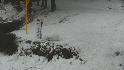 Běžecký lyžařský areál Nová Ves - horní část