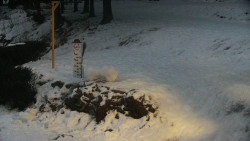 Běžecký lyžařský areál Nová Ves - horní část