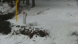 Běžecký lyžařský areál Nová Ves - horní část