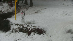 Běžecký lyžařský areál Nová Ves - horní část