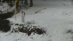 Běžecký lyžařský areál Nová Ves - horní část