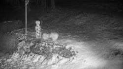 Běžecký lyžařský areál Nová Ves - horní část