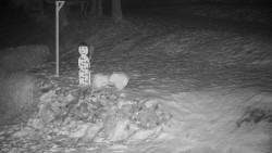 Běžecký lyžařský areál Nová Ves - horní část