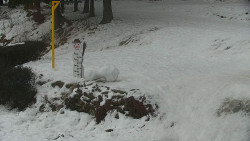 Běžecký lyžařský areál Nová Ves - horní část