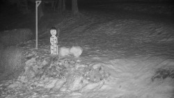 Běžecký lyžařský areál Nová Ves - horní část