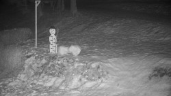 Běžecký lyžařský areál Nová Ves - horní část